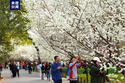 清明假期北京市屬公園及中國園林博物館游客接待量超218萬人次，景區管理成效顯著