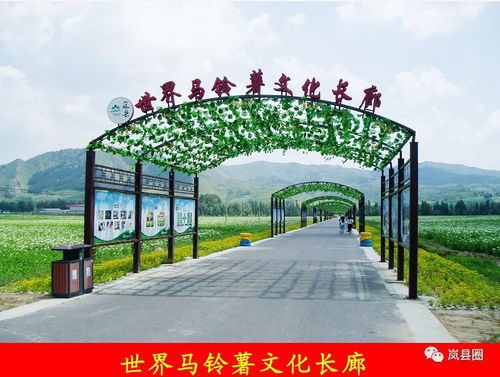 探索土豆花海與飲馬池景區(qū)的獨特魅力與游覽管理