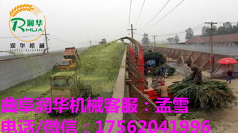 自動(dòng)化浪潮下的畜牧飼料利器 多功能碎草機(jī)與鍘草機(jī)智造升級(jí)趨勢解析